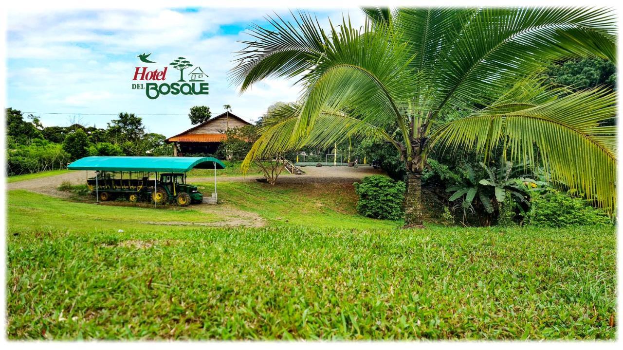Hotel Del Bosque Río Cuarto Exteriör bild