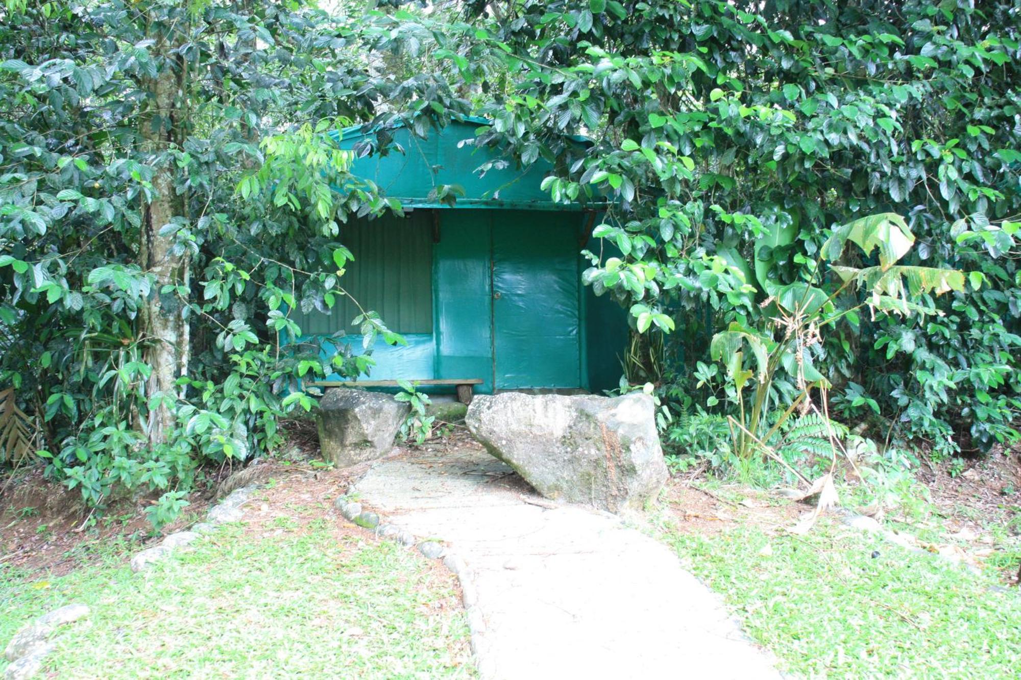 Hotel Del Bosque Río Cuarto Exteriör bild